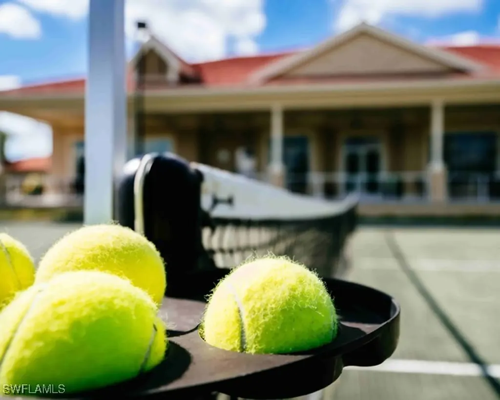 12219 Colliers Reserve Drive Naples FL 34110