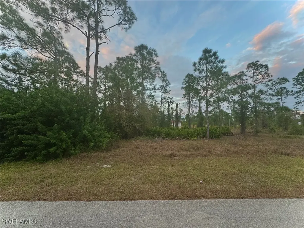 937 Alcalde Street E Lehigh Acres FL 33974