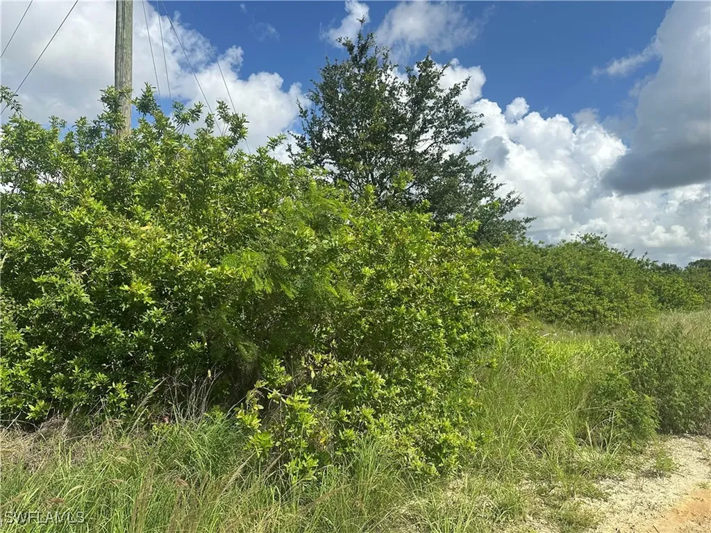 7716 Wheeler Road Labelle FL 33935