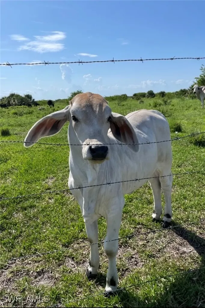 2508 Christopher Lane Clewiston FL 33440