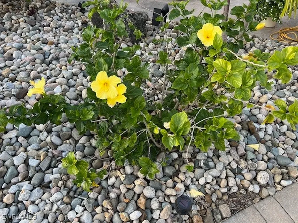 5193 Cypress Trail Resort Circle Fort Myers FL 33905