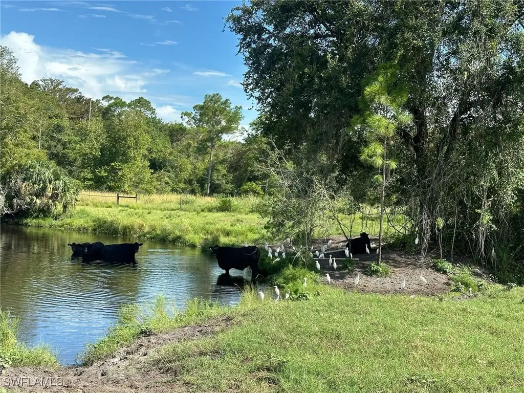 Secretariat Drive Labelle FL 33935