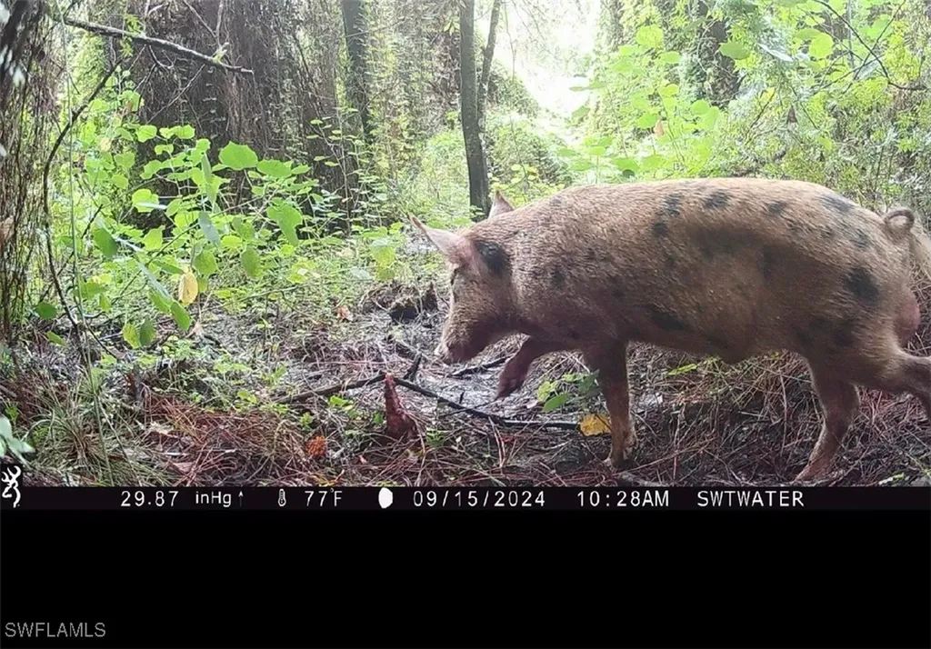 Secretariat Drive Labelle FL 33935