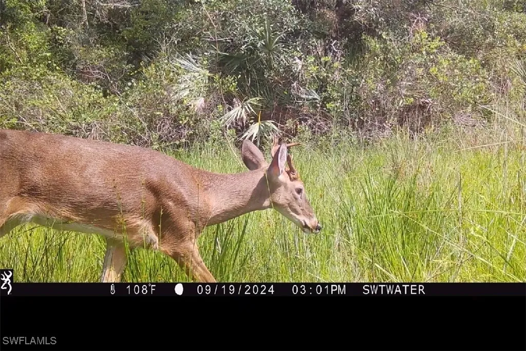 Secretariat Drive Labelle FL 33935