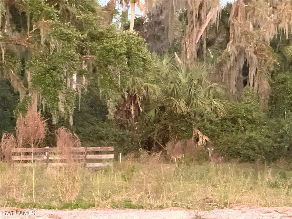 Secretariat Drive Labelle FL 33935