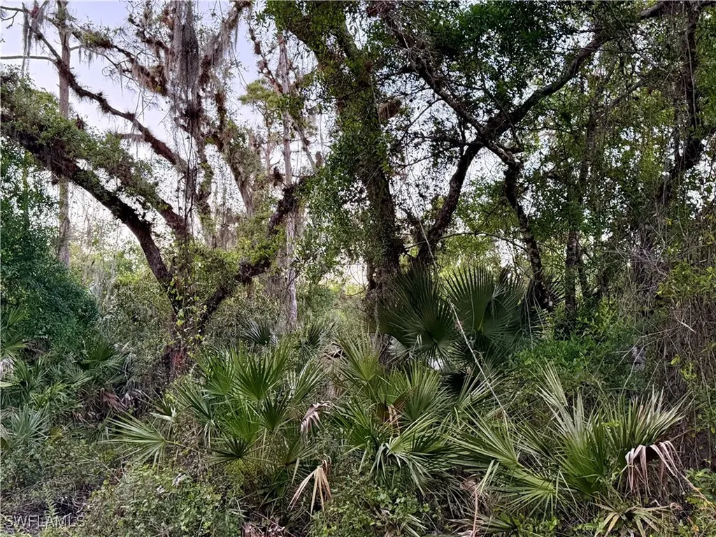 Secretariat Drive Labelle FL 33935