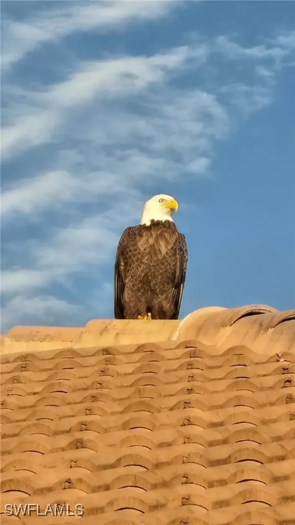 4178 Bloomfield Street Fort Myers FL 33916