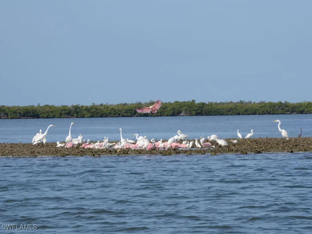 111 Morning Star Cay Naples FL 34114