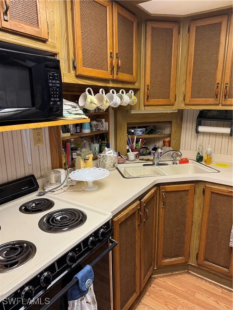 10848 Bonapartes Gull Estero FL 33928