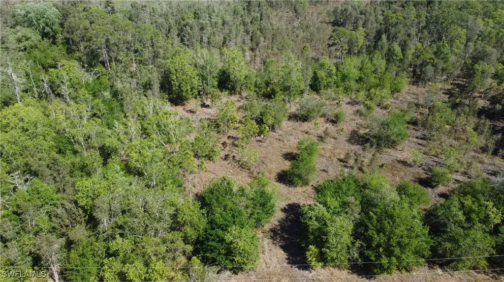 17731 Richard Road Fort Myers FL 33913