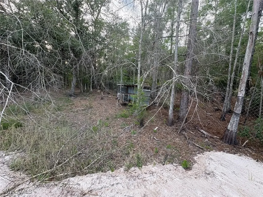 22655 Tinas Lane Fort Myers FL 33913