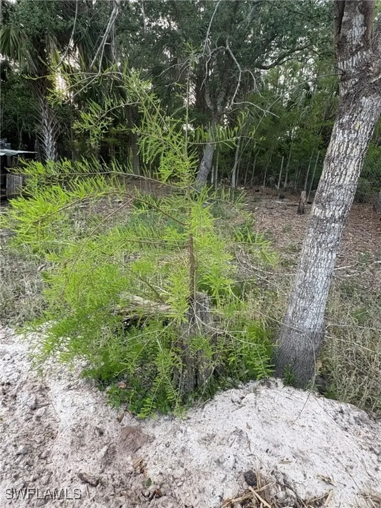 22655 Tinas Lane Fort Myers FL 33913