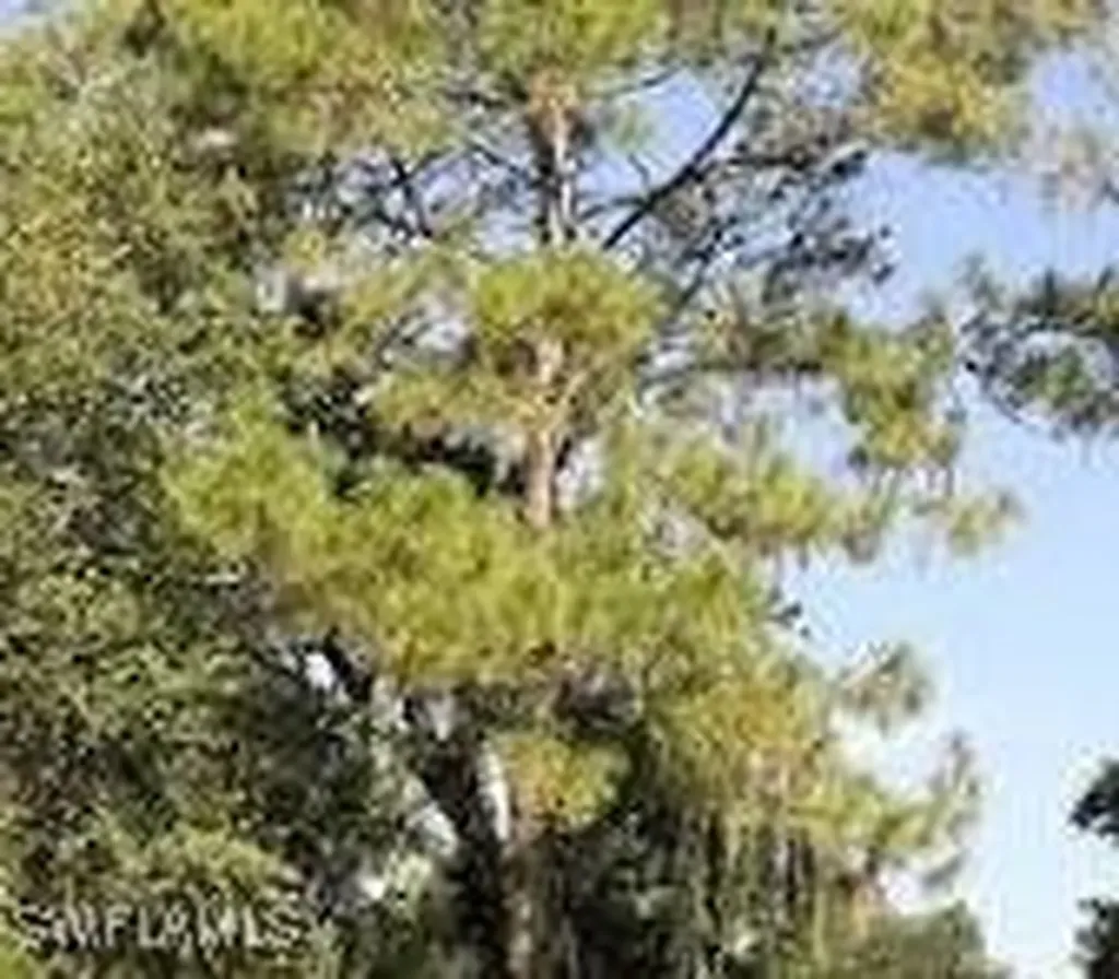 2ND Avenue NE Naples FL 34120