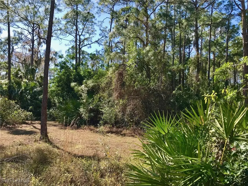 2208 Jackson Avenue Alva FL 33920