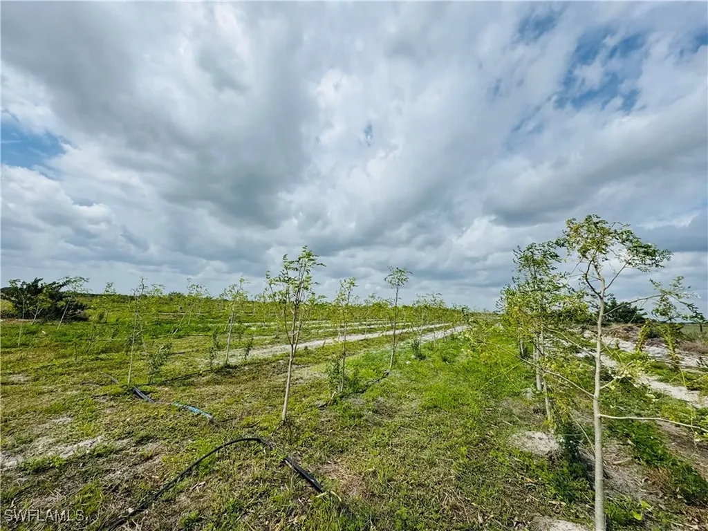 4276 2nd Road Labelle FL 33935