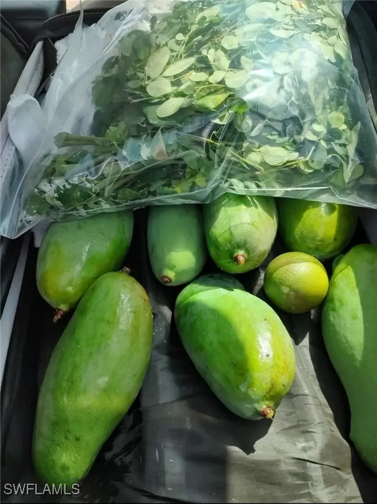 4276 2nd Road Labelle FL 33935