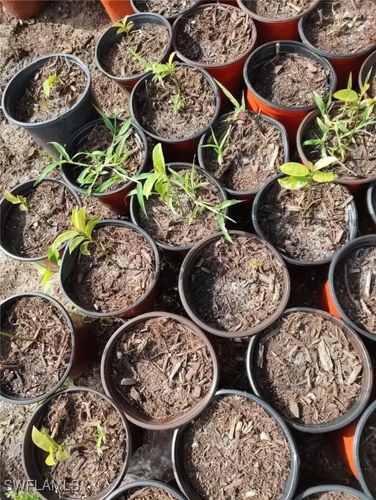 4276 2nd Road Labelle FL 33935