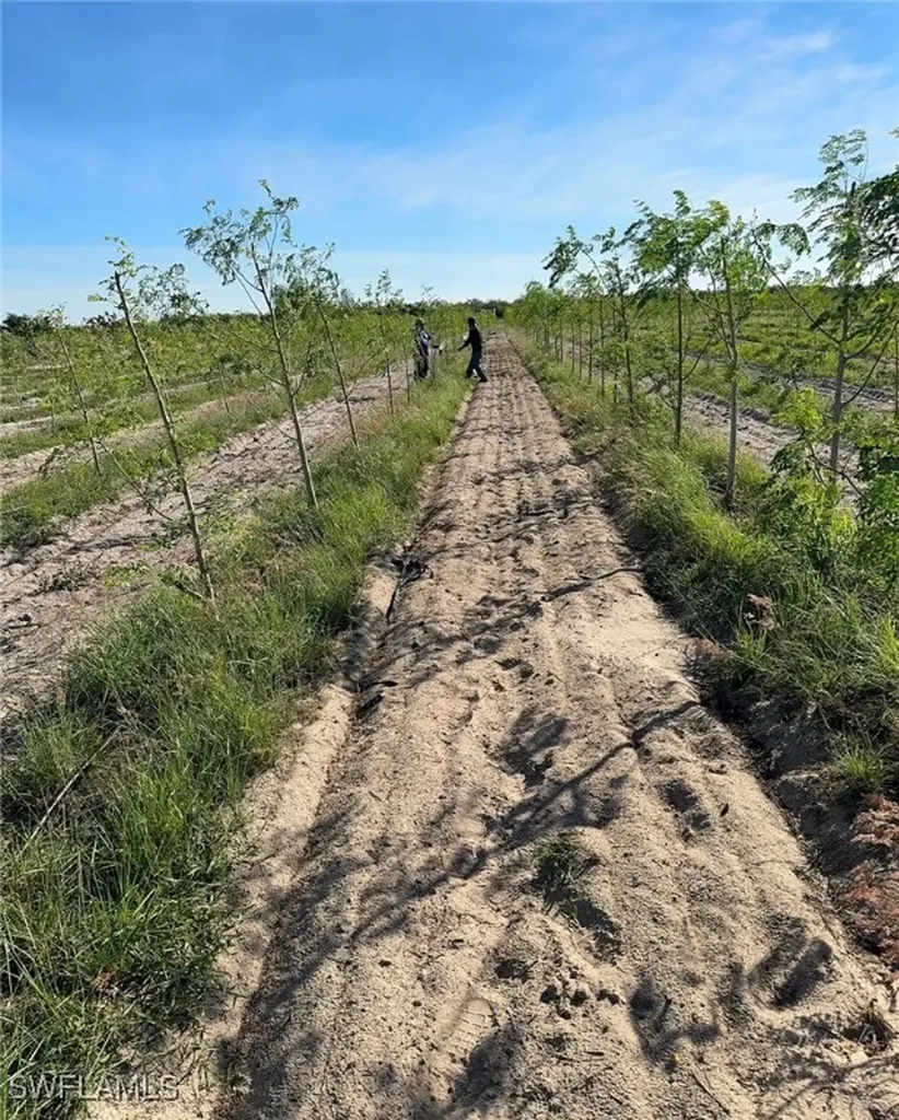 4276 2nd Road Labelle FL 33935