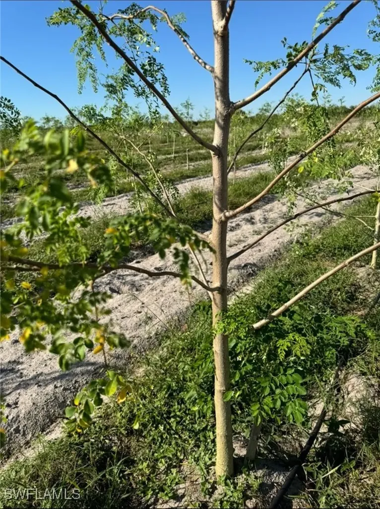 4276 2nd Road Labelle FL 33935