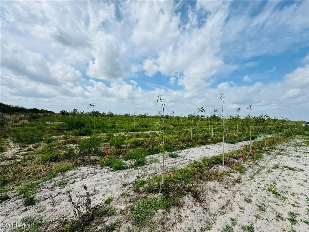 4276 2nd Road Labelle FL 33935