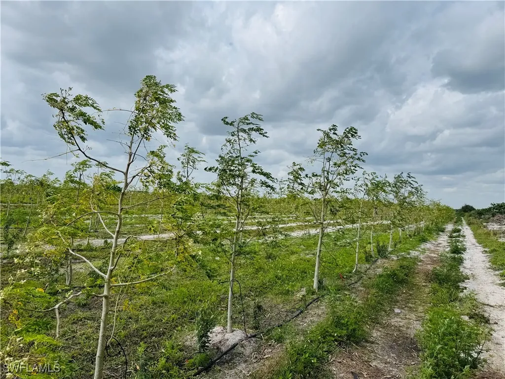 4276 2nd Road Labelle FL 33935