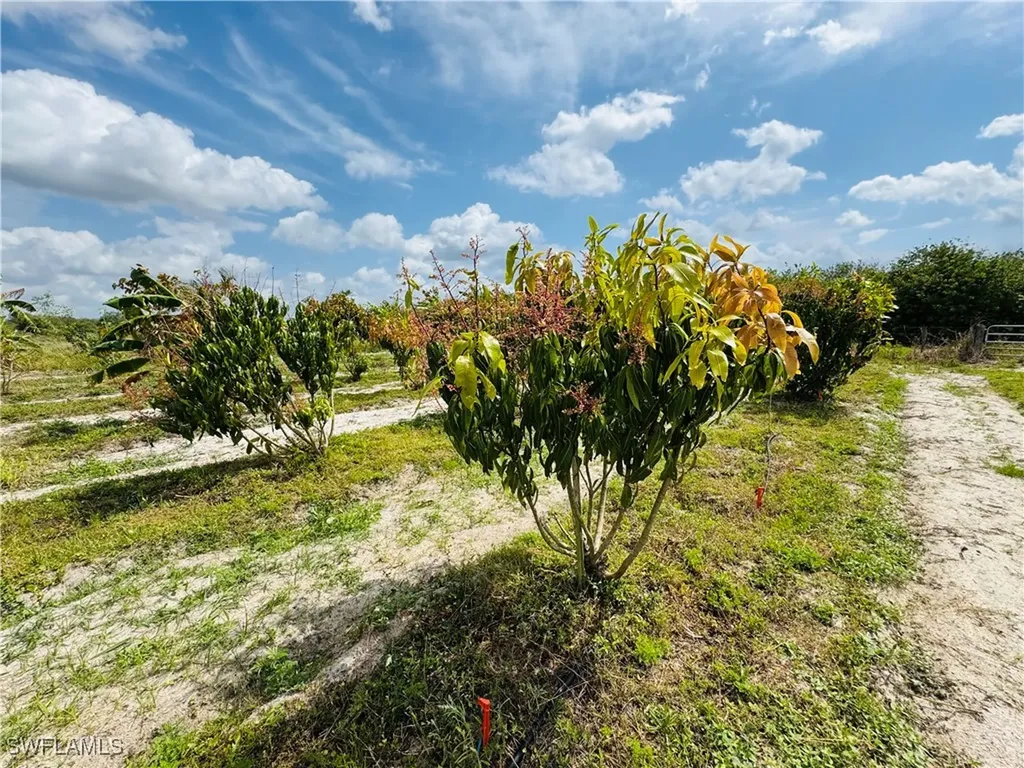 4276 2nd Road Labelle FL 33935