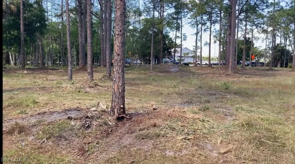 19950 Palm Beach Boulevard Alva FL 33920