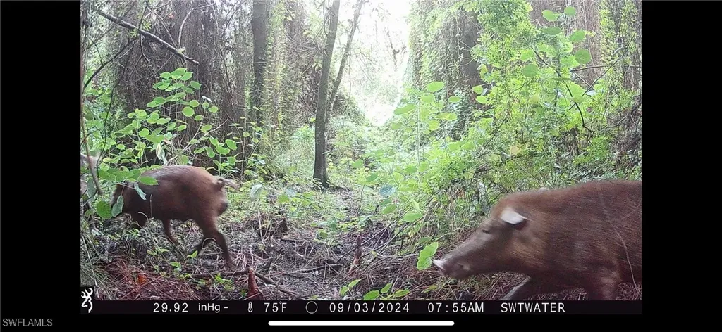 Secretariat Drive Labelle FL 33935