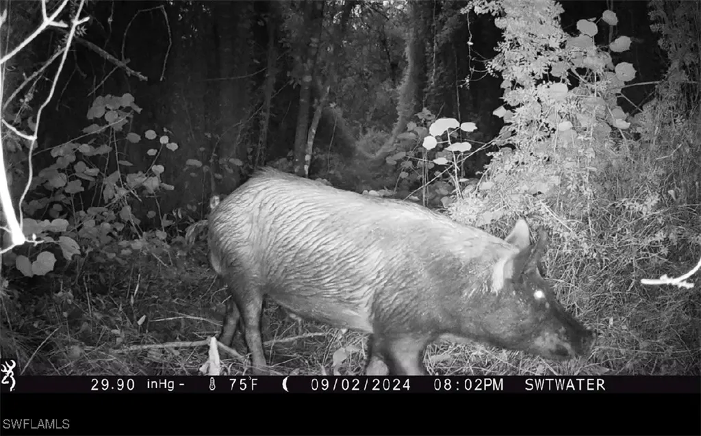 Secretariat Drive Labelle FL 33935