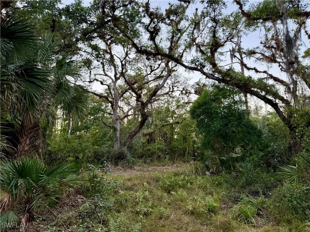 Secretariat Drive Labelle FL 33935