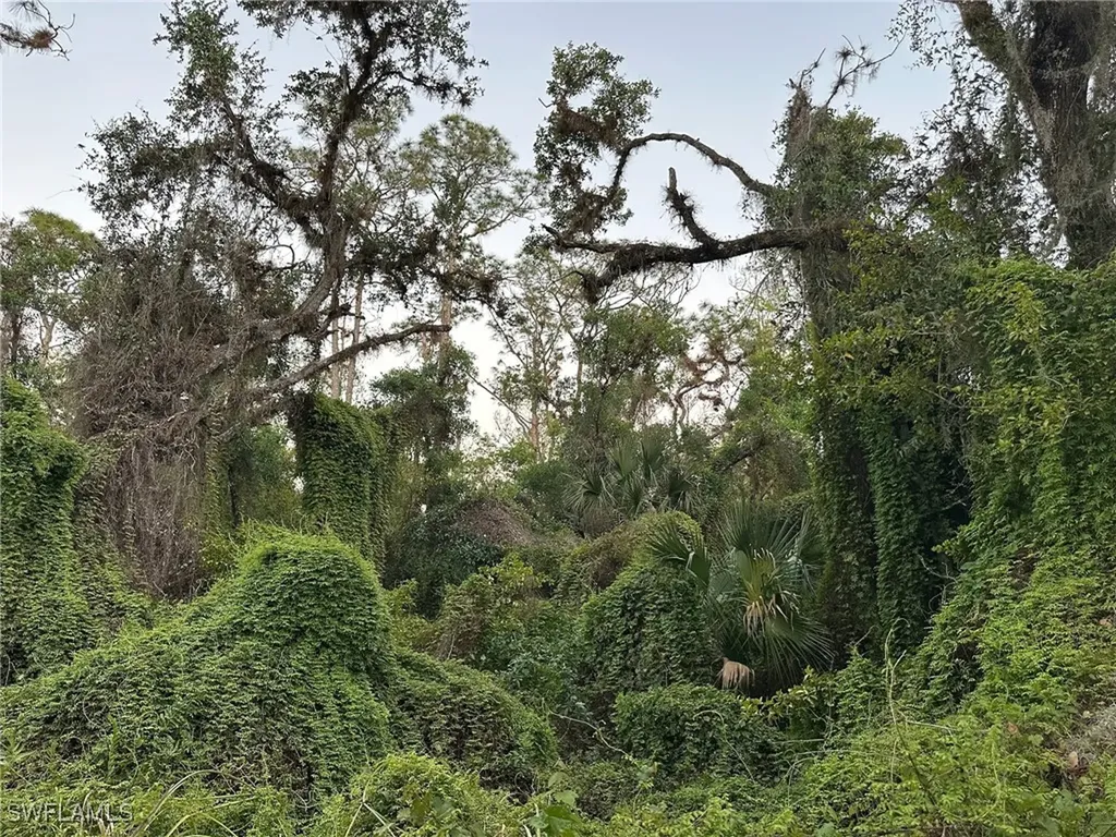 Secretariat Drive Labelle FL 33935