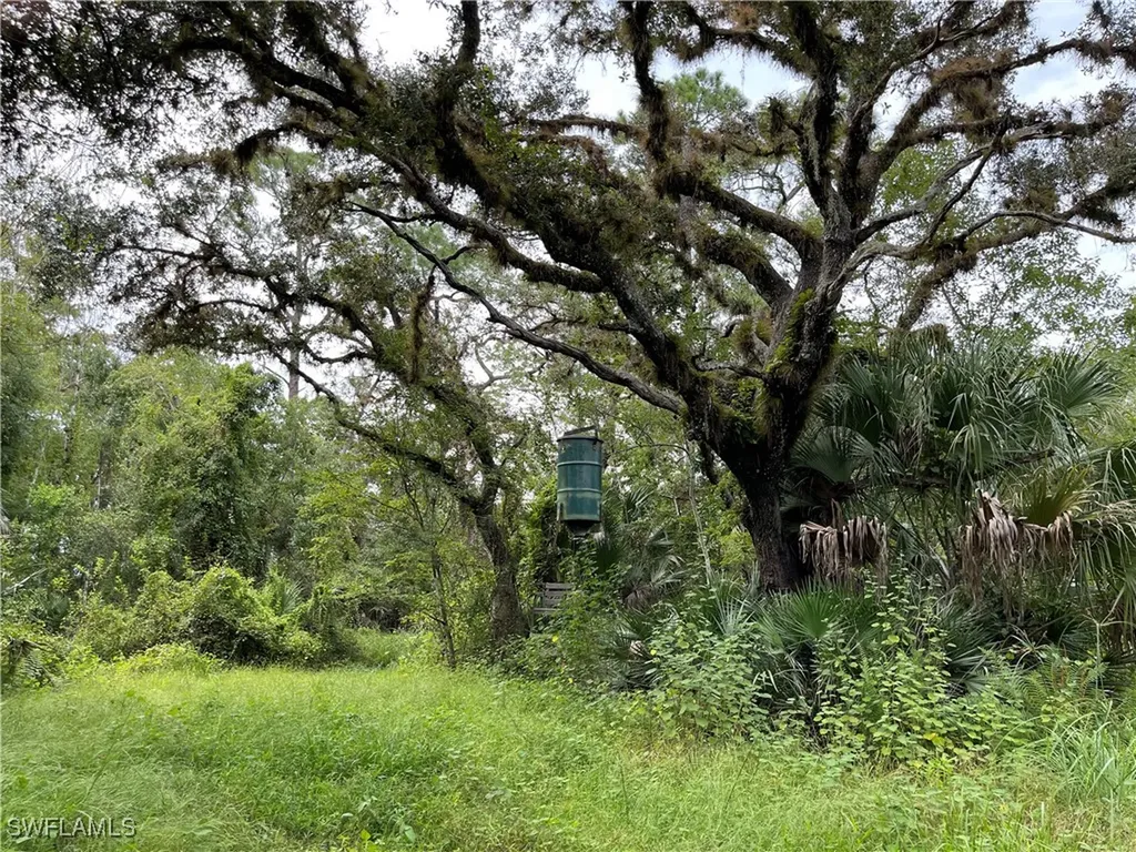 Secretariat Drive Labelle FL 33935