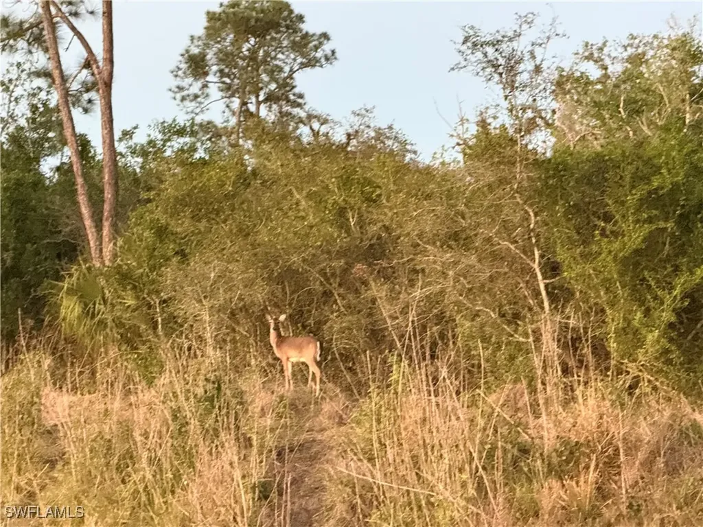 Secretariat Drive Labelle FL 33935