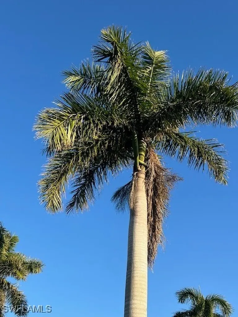 5222 Marsh Mallow Trail Fort Myers FL 33905