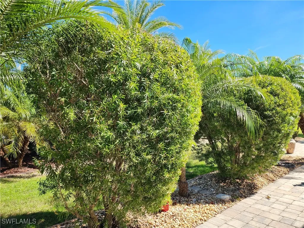 10317 Prairie Iris Trail Fort Myers FL 33905