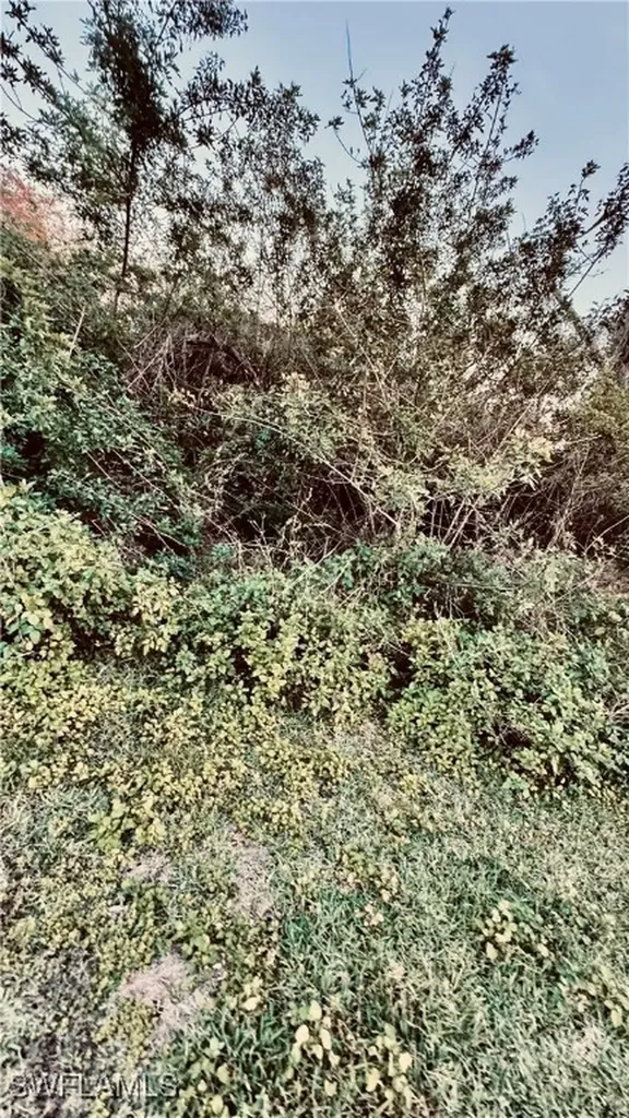 Abbotsford Street North Port FL 34287
