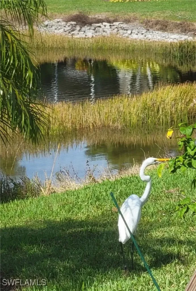 14569 Sonoma Boulevard Naples FL 34114