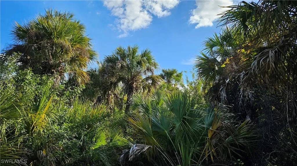 811 Opal Court Labelle FL 33935