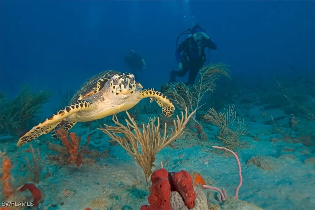 428 NW 9th Street Cape Coral FL 33993