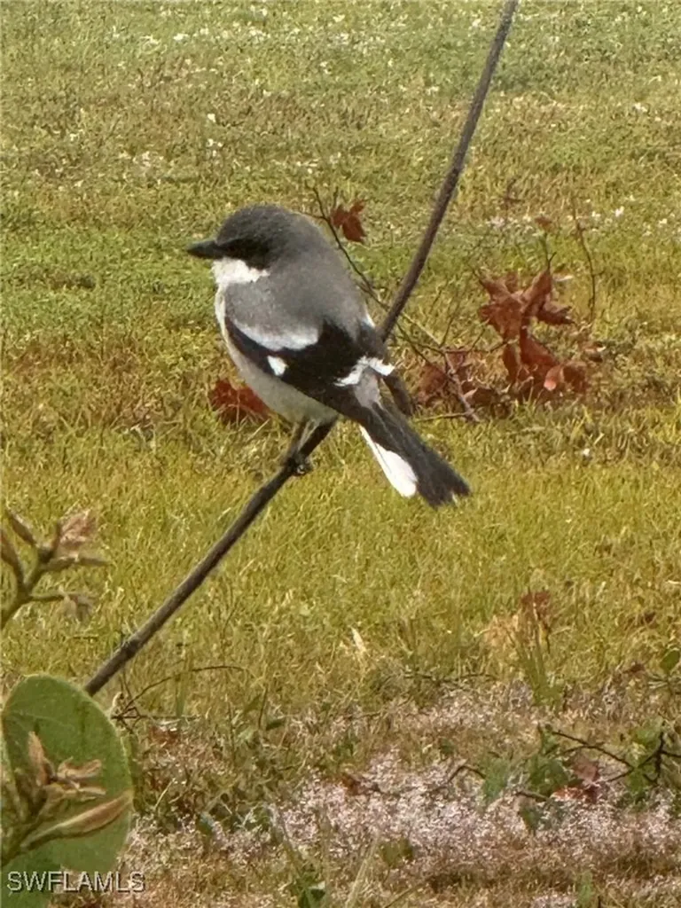 16031 Alcira Circle Punta Gorda FL 33955