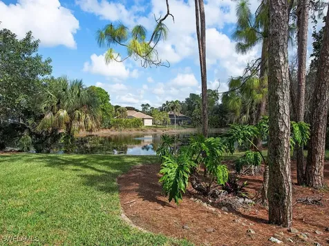 6431 Birchwood Court Naples FL 34109