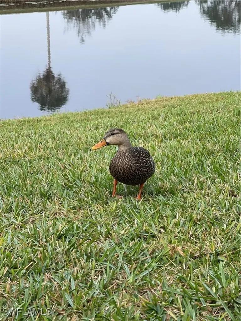 28386 Tasca Drive Bonita Springs FL 34135