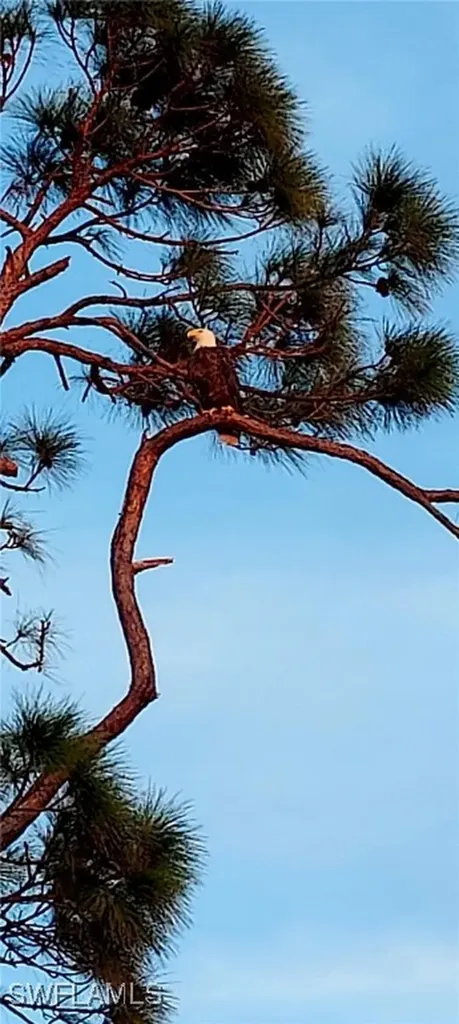 15791 Quail Trail Bokeelia FL 33922