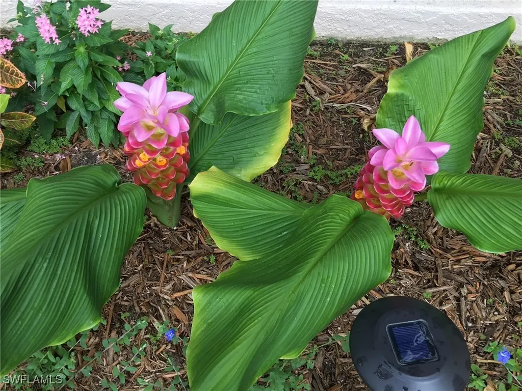174 Cypress View Drive Naples FL 34113