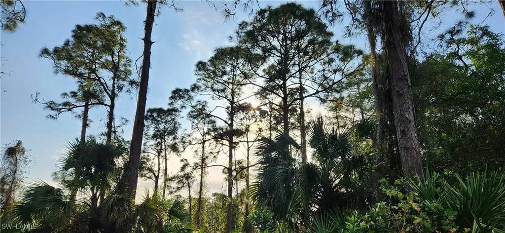 Naples FL, 18th Avenue Avenue NE
