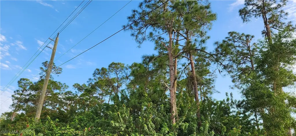 18TH Avenue Avenue NE Naples FL 34120
