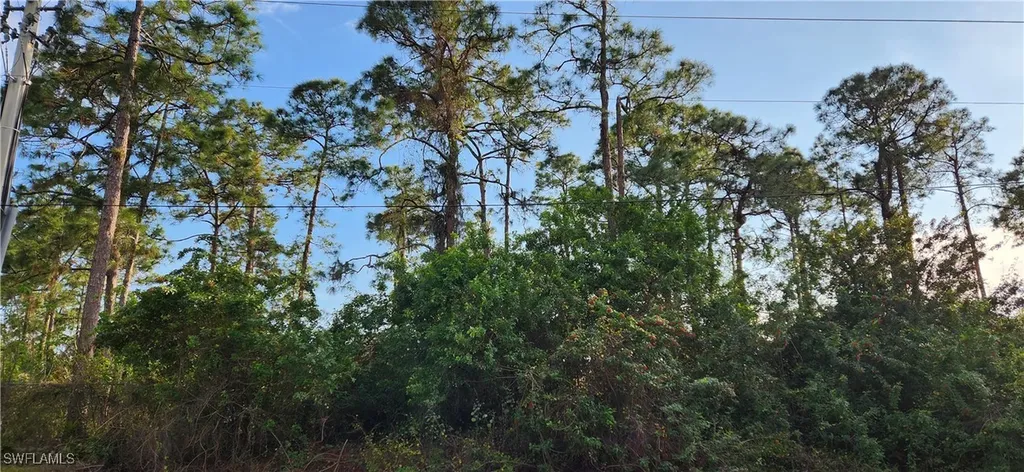 18TH Avenue Avenue NE Naples FL 34120