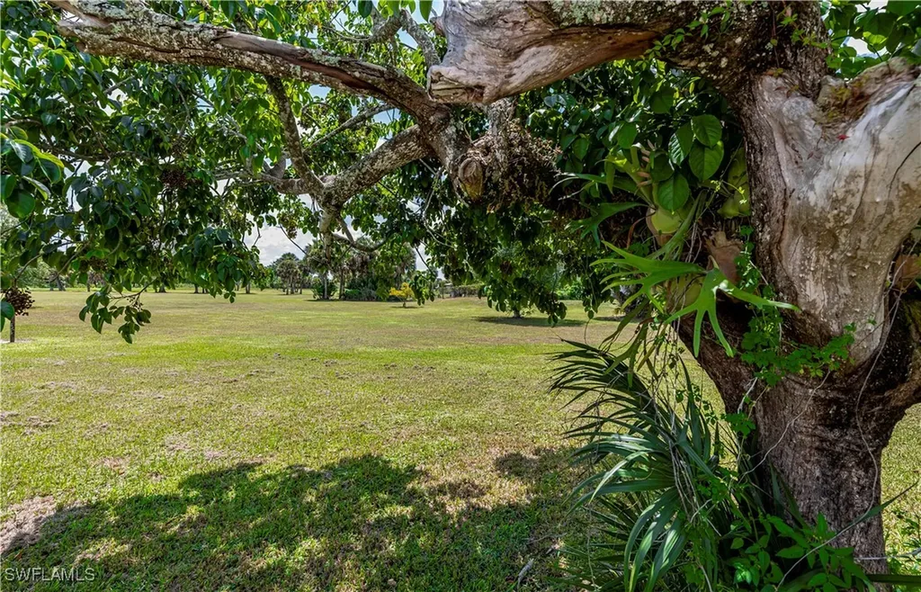 1038 Seminole Circle Moore Haven FL 33471