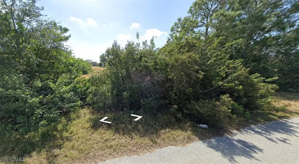 3002 NW 10th Terrace Cape Coral FL 33993