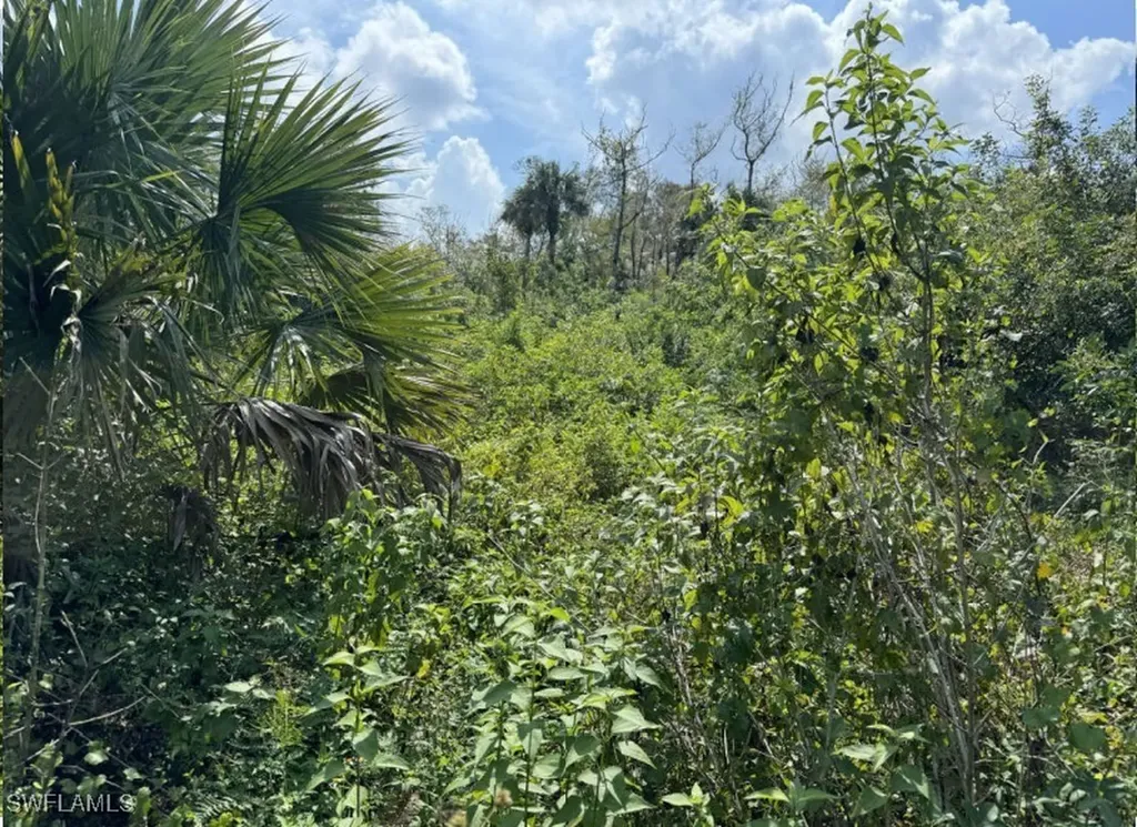 36XX 38th Avenue SE Naples FL 34117